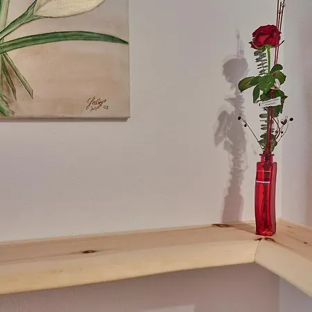 Apartment Ferienwohnung Stuibenfall Oetz